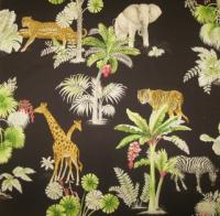 Safari